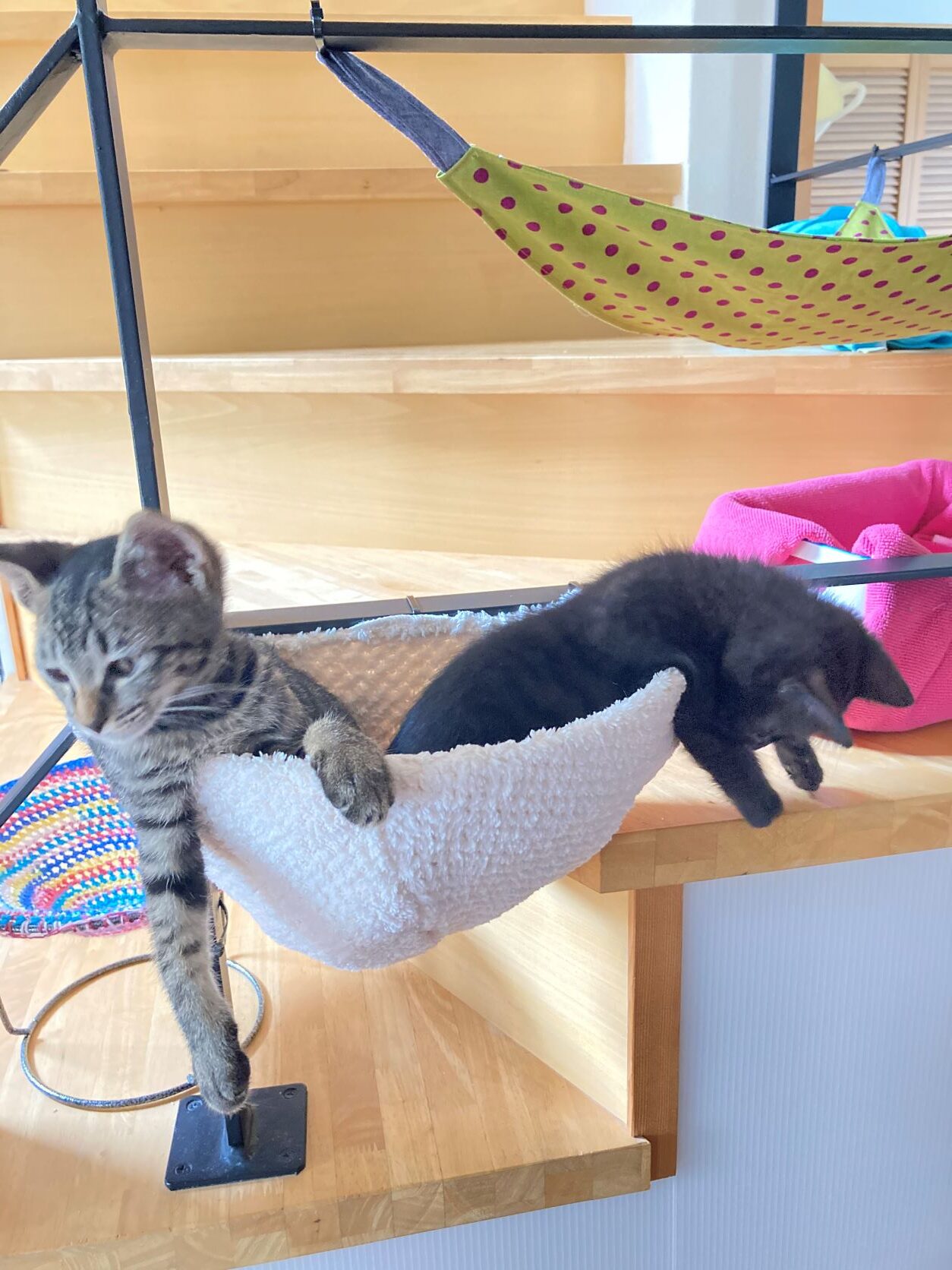 小さかったころ